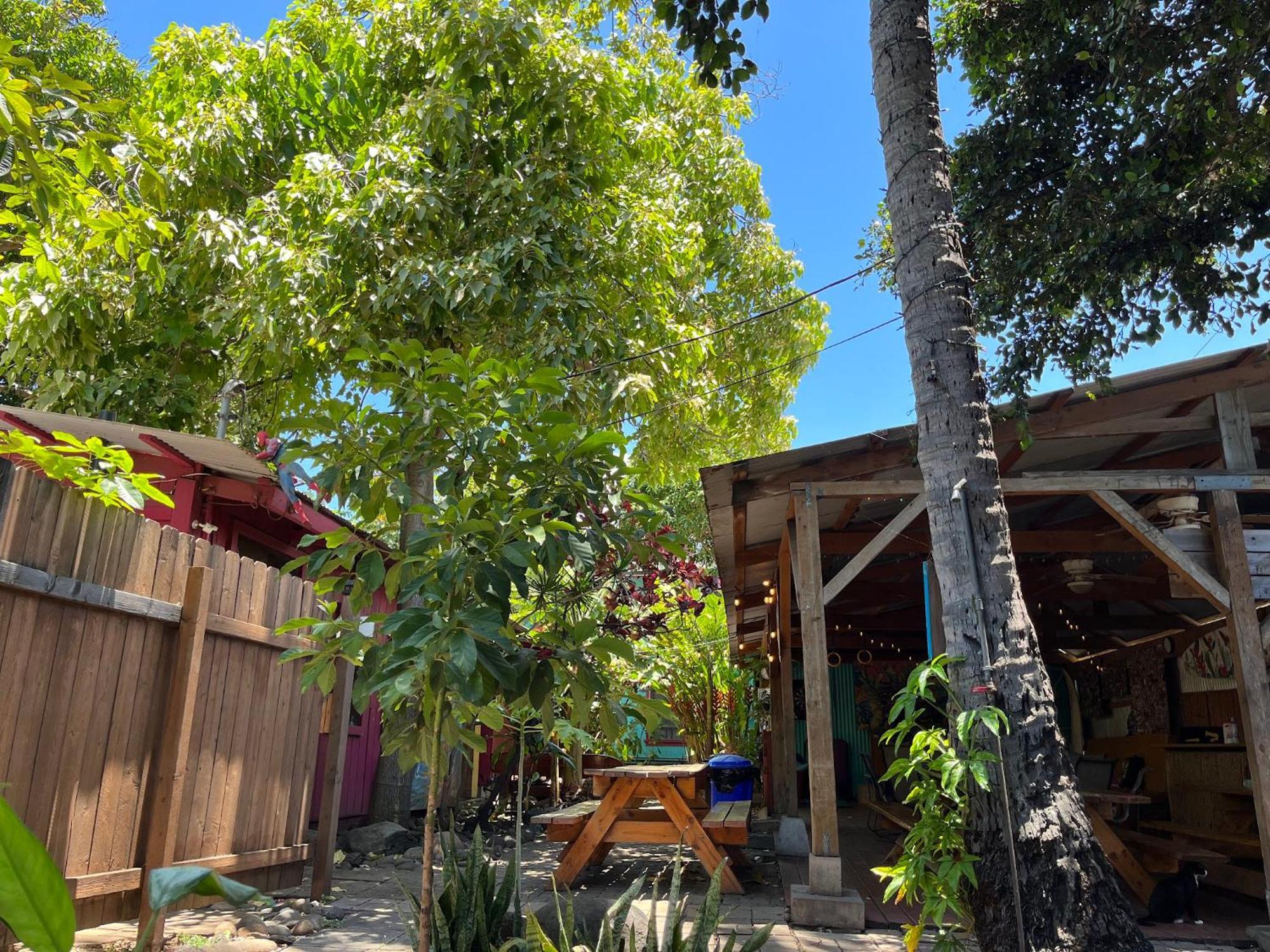 Banana Bungalow Maui Hostel Wailuku Экстерьер фото
